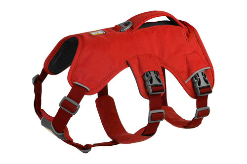 Web Master Harness Red Sumac D20 RUFFWEAR   