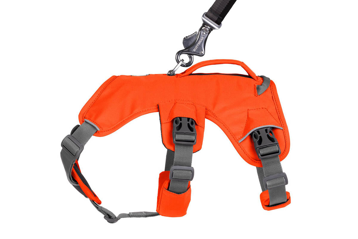 Web Master Harness Blaze Orange D20 RUFFWEAR   