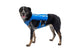 Trail Runner Running Vest Blue Pool D20 RUFFWEAR   