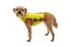 Trail Runner Running Vest Lichen Green D20 RUFFWEAR   