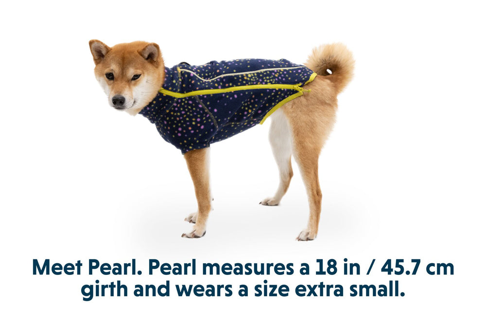 Climate Changer Jacket Galaxy  RUFFWEAR   