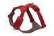 Front Range Harness Red Canyon D20 RUFFWEAR   